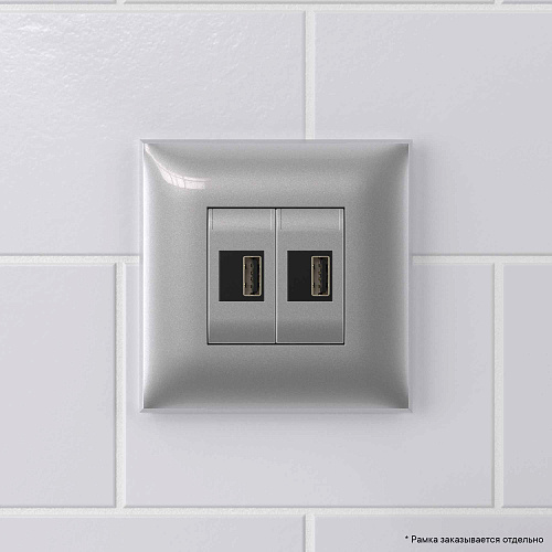 USB зарядное устройство в стену, "Avanti", "Закаленная сталь", 2.1 А