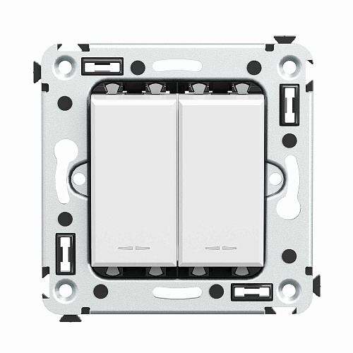 Инвертор двухклавишный в стену, Avanti, белое облако