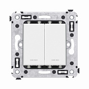 Переключатель двухклавишный в стену, Avanti, белое облако