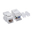Патч-панель модульная 19", 1U, CAT6А, 24 модуля RJ45 Кейстоун (Keystone), неэкранированная
