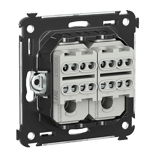 Инвертор двухклавишный в стену, Avanti, черный матовый