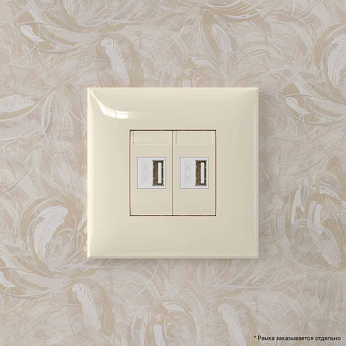 USB зарядное устройство в стену 2.1 А, Avanti, ванильная дымка