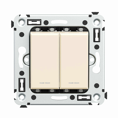 Инвертор двухклавишный в стену, Avanti, ванильная дымка