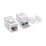 Патч-панель модульная 19", 1U, CAT5E, 24 модуля RJ45 Кейстоун (Keystone), неэкранированная