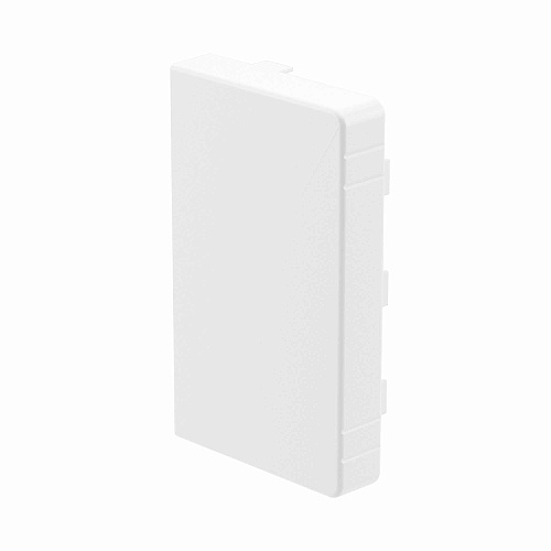 LAN 60x40 Заглушка(розница, 2 шт в пакете)
