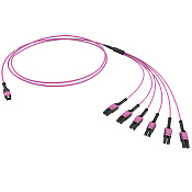 Оптическая разветвительная сборка 12ОВ 50/125 OM4, 1xMTP PRO(12)/6хLC двухволоконный (Duplex) Uniboot, 2м (предустановленная конфигурация: MTP Male , тип полярности - прямая (Tx-->Rx)